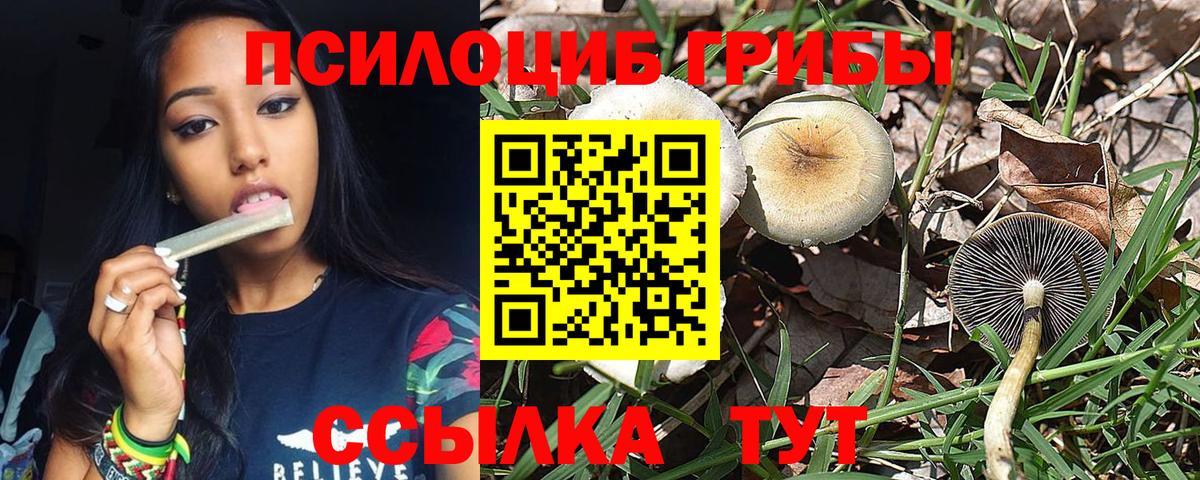 Галлюциногенные грибы GOLDEN TEACHER  Вход с VPN  Котовск 