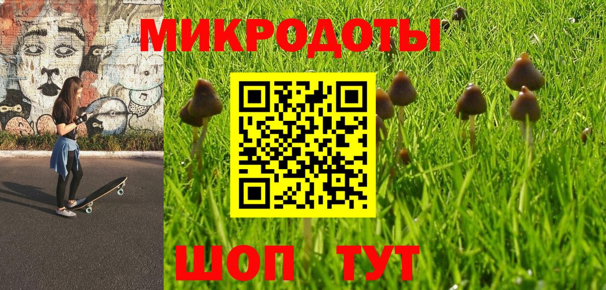 Галлюциногенные грибы GOLDEN TEACHER  Котовск  Галлюциногенные грибы Cubensis 