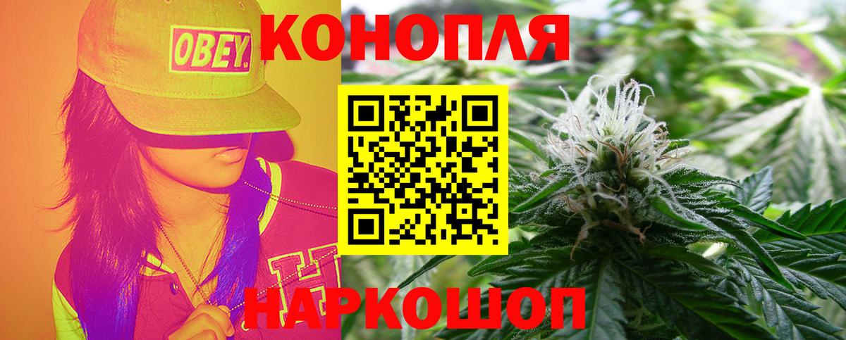 Бошки марихуана конопля Котовск